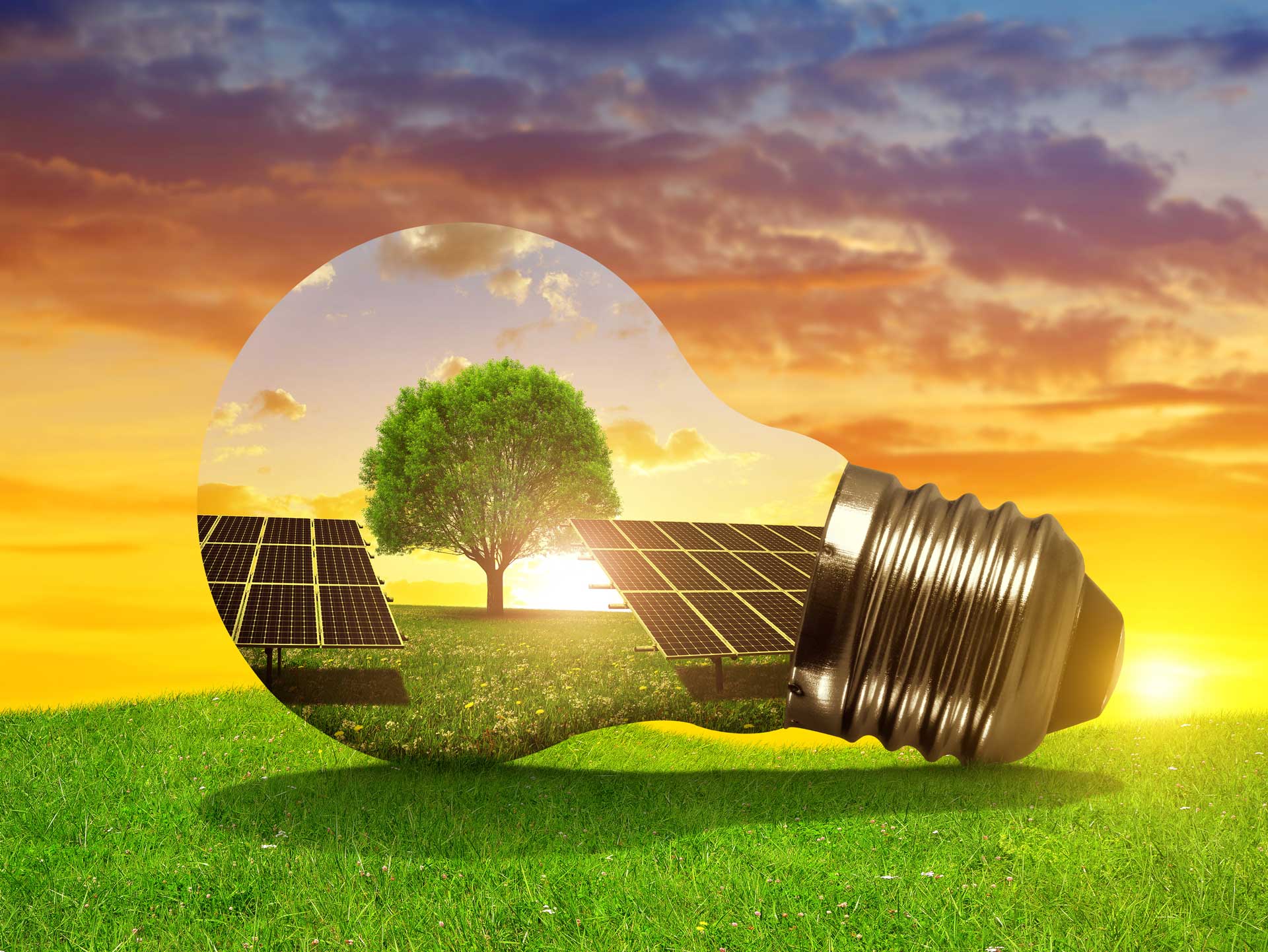 Renewable Energy Resources Surrey